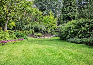 Optimiser l'expérience du jardin à Baulme-la-Roche